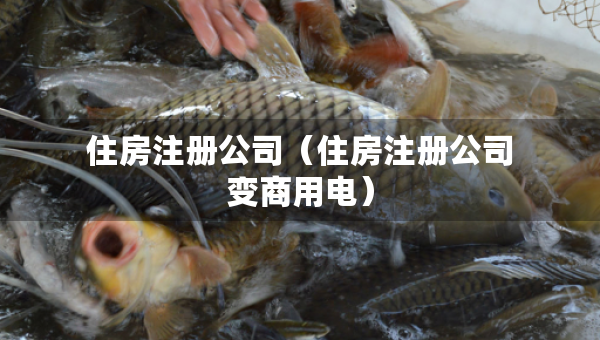 住房注冊(cè)公司（住房注冊(cè)公司變商用電）