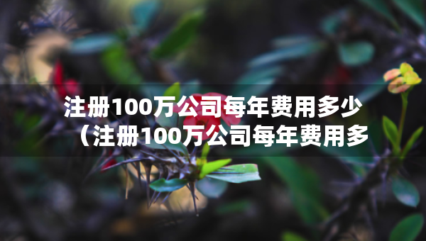 注冊100萬公司每年費用多少（注冊100萬公司每年費用多少錢）