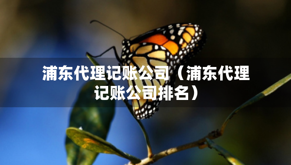 浦東代理記賬公司（浦東代理記賬公司排名）