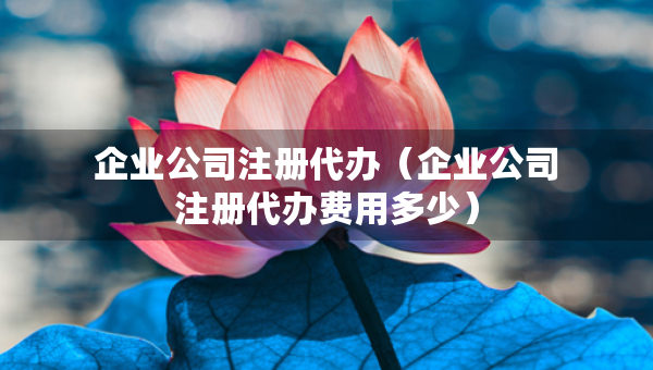 企業(yè)公司注冊代辦（企業(yè)公司注冊代辦費(fèi)用多少）