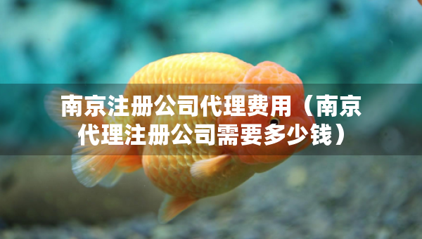 南京注冊公司代理費(fèi)用（南京代理注冊公司需要多少錢）