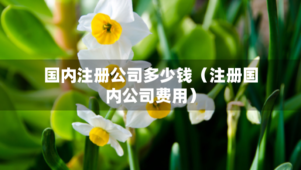 國內(nèi)注冊公司多少錢（注冊國內(nèi)公司費用）