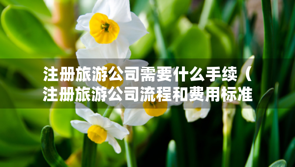 注冊旅游公司需要什么手續(xù)（注冊旅游公司流程和費用標準）