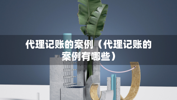 代理記賬的案例（代理記賬的案例有哪些）