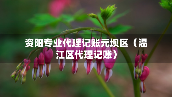 資陽專業(yè)代理記賬元壩區(qū)（溫江區(qū)代理記賬）