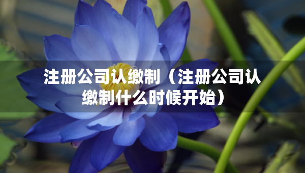 注冊公司認(rèn)繳制（注冊公司認(rèn)繳制什么時(shí)候開始）