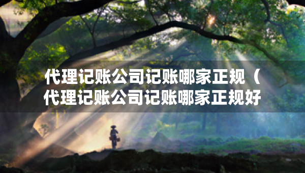 代理記賬公司記賬哪家正規(guī)（代理記賬公司記賬哪家正規(guī)好）