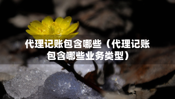 代理記賬包含哪些（代理記賬包含哪些業(yè)務(wù)類型）
