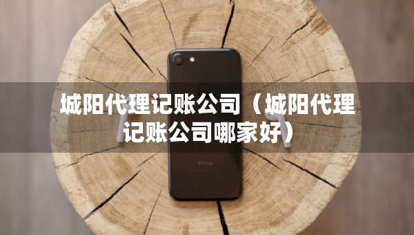 城陽(yáng)代理記賬公司（城陽(yáng)代理記賬公司哪家好）