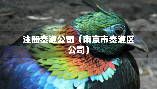 注冊秦淮公司（南京市秦淮區(qū)公司）