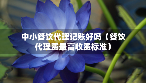 中小餐飲代理記賬好嗎（餐飲代理費(fèi)最高收費(fèi)標(biāo)準(zhǔn)）