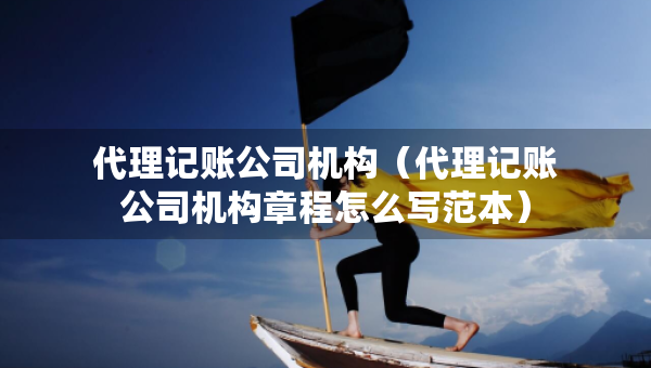 代理記賬公司機構(gòu)（代理記賬公司機構(gòu)章程怎么寫范本）