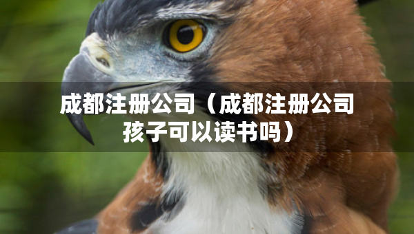 成都注冊公司（成都注冊公司孩子可以讀書嗎）