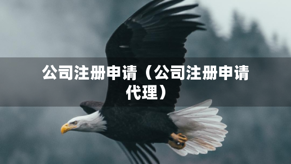 公司注冊(cè)申請(qǐng)（公司注冊(cè)申請(qǐng)代理）