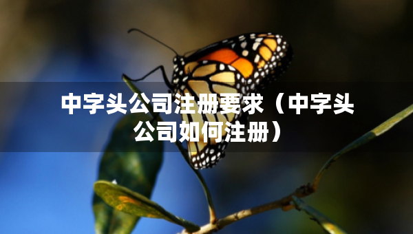 中字頭公司注冊要求（中字頭公司如何注冊）