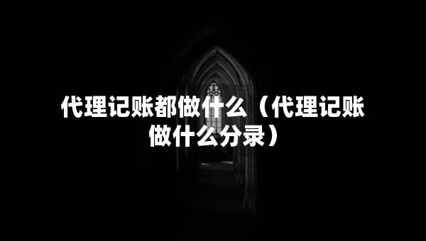 代理記賬都做什么（代理記賬做什么分錄）