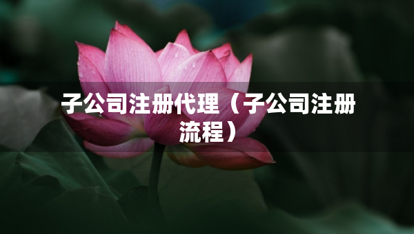 子公司注冊(cè)代理（子公司注冊(cè)流程）