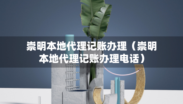 崇明本地代理記賬辦理（崇明本地代理記賬辦理電話）