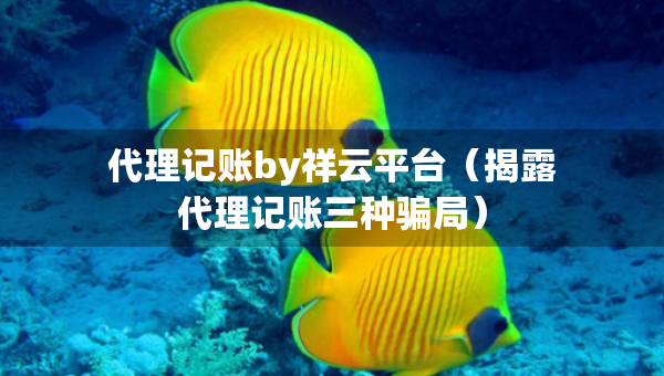 代理記賬by祥云平臺（揭露代理記賬三種騙局）
