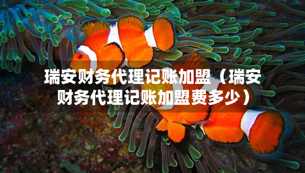 瑞安財務(wù)代理記賬加盟（瑞安財務(wù)代理記賬加盟費多少）