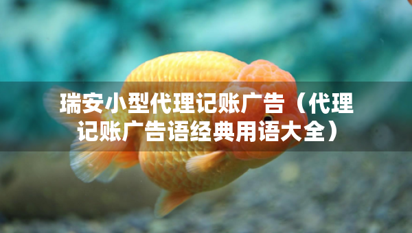 瑞安小型代理記賬廣告（代理記賬廣告語經(jīng)典用語大全）