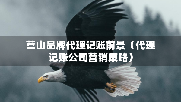 營山品牌代理記賬前景（代理記賬公司營銷策略）