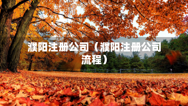 濮陽注冊公司（濮陽注冊公司流程）
