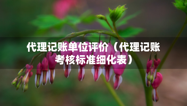 代理記賬單位評(píng)價(jià)（代理記賬考核標(biāo)準(zhǔn)細(xì)化表）