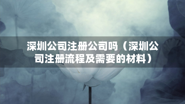 深圳公司注冊公司嗎（深圳公司注冊流程及需要的材料）