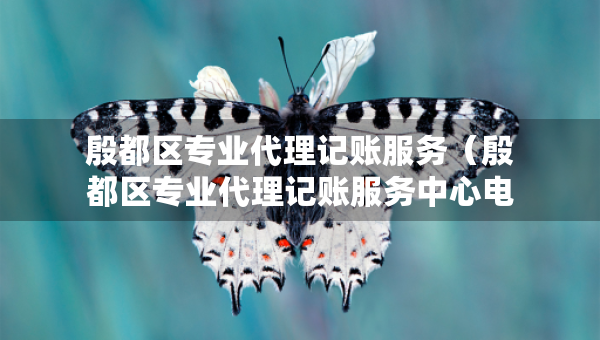 殷都區(qū)專業(yè)代理記賬服務(wù)（殷都區(qū)專業(yè)代理記賬服務(wù)中心電話）