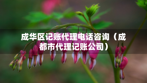 成華區(qū)記賬代理電話咨詢（成都市代理記賬公司）