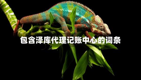 包含澤庫(kù)代理記賬中心的詞條