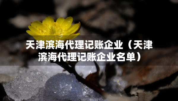 天津濱海代理記賬企業(yè)（天津濱海代理記賬企業(yè)名單）
