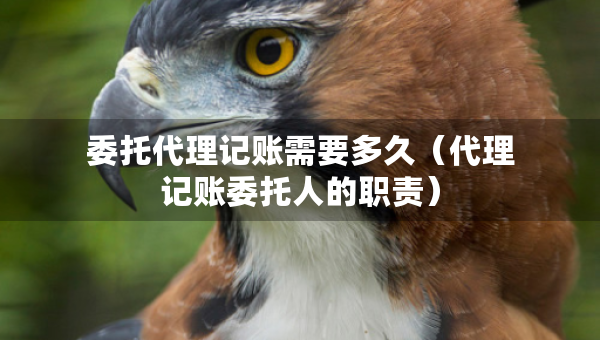 委托代理記賬需要多久（代理記賬委托人的職責(zé)）