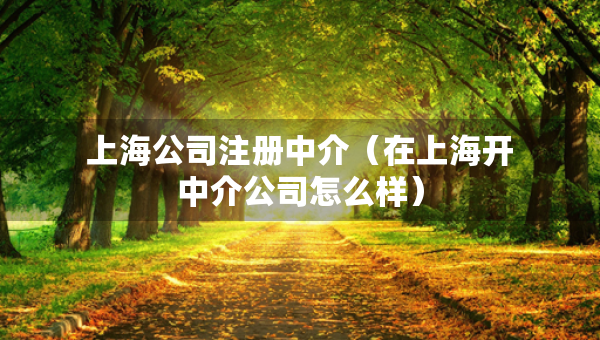 上海公司注冊中介（在上海開中介公司怎么樣）