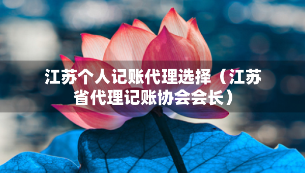 江蘇個(gè)人記賬代理選擇（江蘇省代理記賬協(xié)會(huì)會(huì)長(zhǎng)）