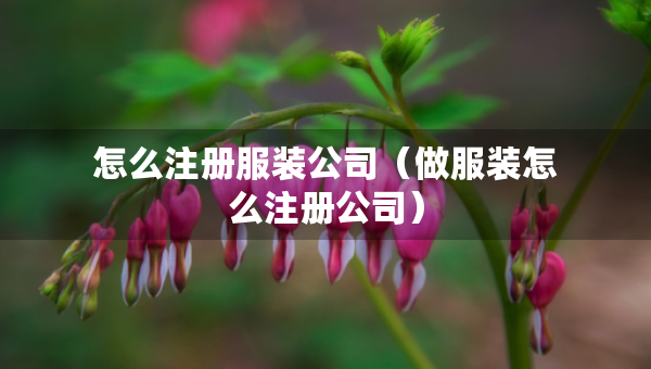 怎么注冊服裝公司（做服裝怎么注冊公司）