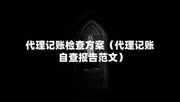 代理記賬檢查方案（代理記賬自查報(bào)告范文）
