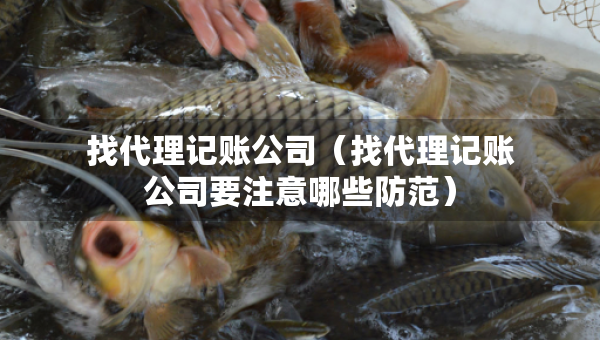 找代理記賬公司（找代理記賬公司要注意哪些防范）