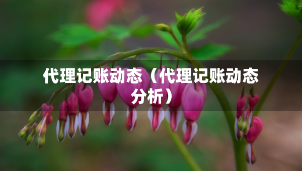 代理記賬動態(tài)（代理記賬動態(tài)分析）