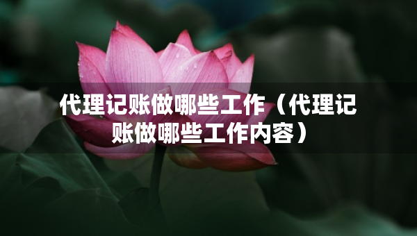 代理記賬做哪些工作（代理記賬做哪些工作內(nèi)容）