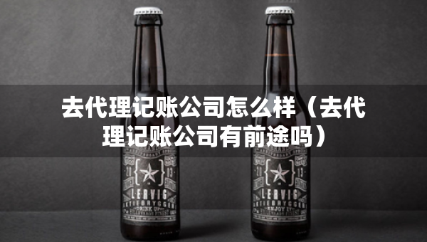 去代理記賬公司怎么樣（去代理記賬公司有前途嗎）