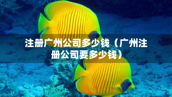 注冊(cè)廣州公司多少錢(qián)（廣州注冊(cè)公司要多少錢(qián)）