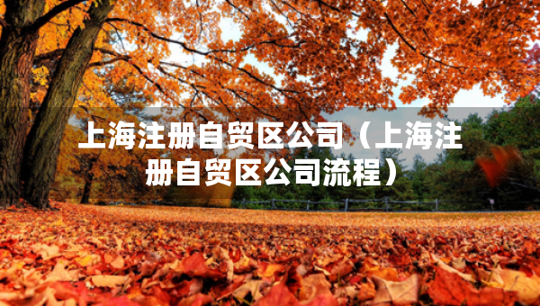 上海注冊(cè)自貿(mào)區(qū)公司（上海注冊(cè)自貿(mào)區(qū)公司流程）