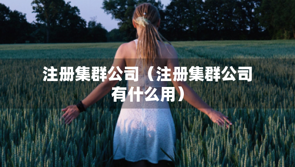 注冊(cè)集群公司（注冊(cè)集群公司有什么用）