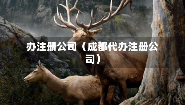 辦注冊公司（成都代辦注冊公司）