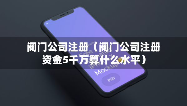 閥門公司注冊（閥門公司注冊資金5千萬算什么水平）