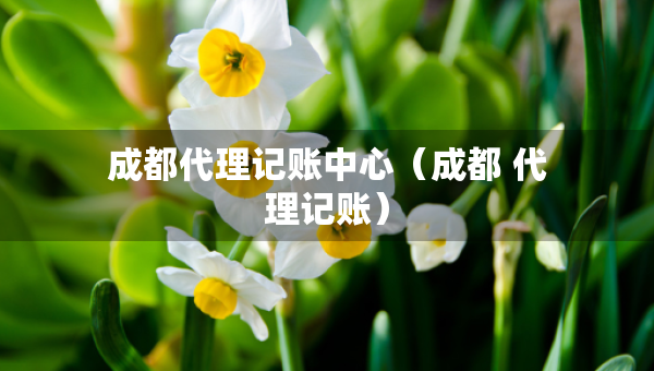 成都代理記賬中心（成都 代理記賬）