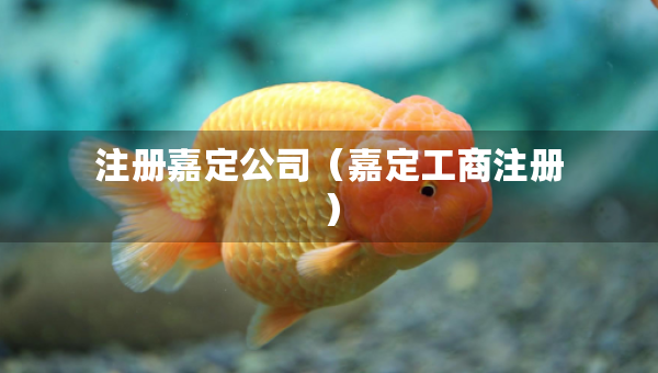 注冊嘉定公司（嘉定工商注冊）