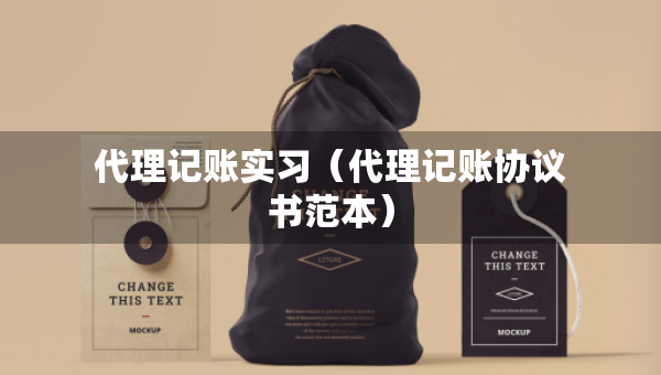代理記賬實(shí)習(xí)（代理記賬協(xié)議書(shū)范本）